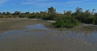Scamandre doğal park, Petite Camargue, Occitanie, Fransa. Scamandre doğal parkındaki kuraklık toprağı üzerinden su geliyor. Galyalı, Camargue, Fransa