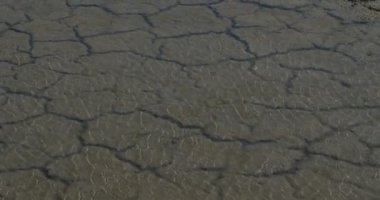 Scamandre doğal parkındaki kuraklık toprağı, Camargue, Fransa