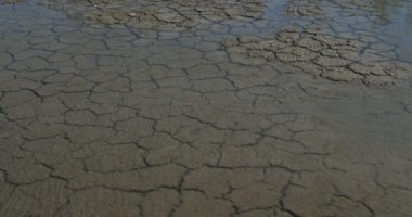 Scamandre doğal parkındaki kuraklık toprağı, Camargue, Fransa