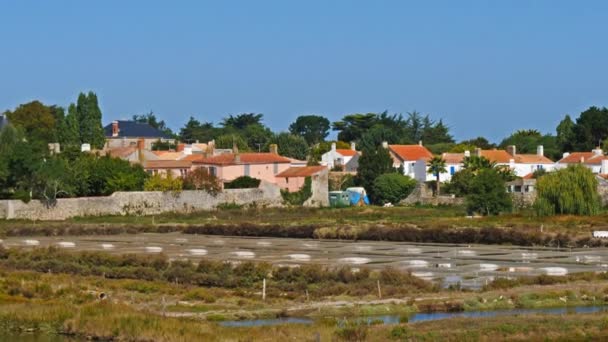 Noirmoutier Ile Noirmoutier Adası Biscay Körfezi Vendee Fransa Köyün Önündeki — Stok video