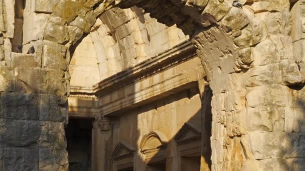 Templo Diane Jardin Fontaine Nimes Gard — Vídeo de Stock