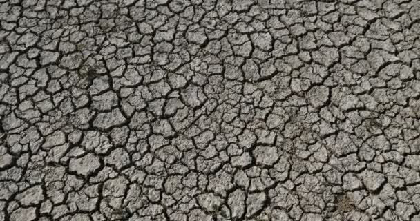 Terreno Arido Nel Parco Naturale Regionale Scamandre Camargue Francia — Video Stock