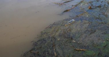 Kirli su yüzeyi bir nehirde