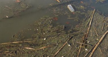 Kirli su yüzeyi bir nehirde