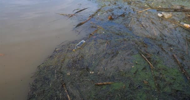 Vervuild Wateroppervlak Een Rivier — Stockvideo