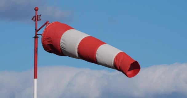 Windsock Agitando Viento — Vídeos de Stock