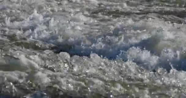 Río Salvaje Occitano Francia — Vídeos de Stock