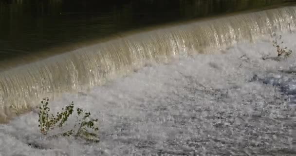 Дикая Река Окситан Франция — стоковое видео