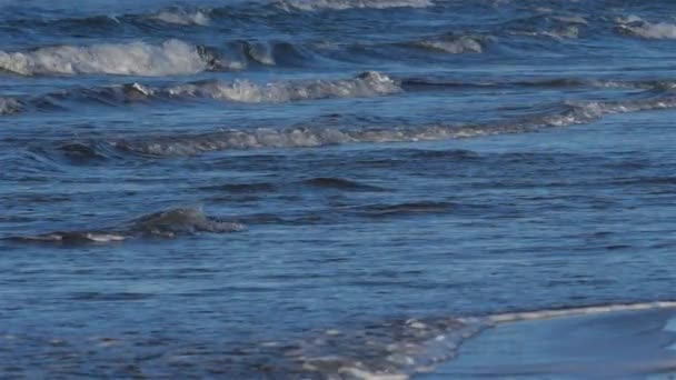 Vagues Sur Côte Méditerranéenne France — Video