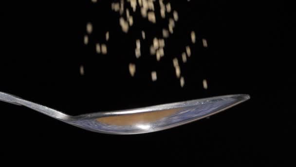 Brown Cane Sugar Dropped Spoon — Stock Video