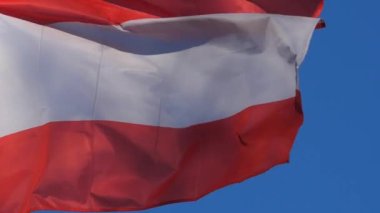 Ulusal Avusturya bayrağı rüzgarda dalgalanıyor.