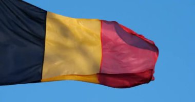 Ulusal Belçika bayrağı rüzgarda dalgalanıyor..