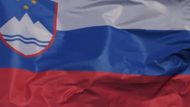 Bandiera Nazionale Slovena Sventola Nel Vento — Video Stock