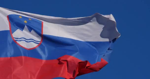 Ulusal Sloven Bayrağı Rüzgarda Dalgalanıyor — Stok video