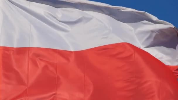 Nationale Poolse Vlag Wapperend Wind — Stockvideo