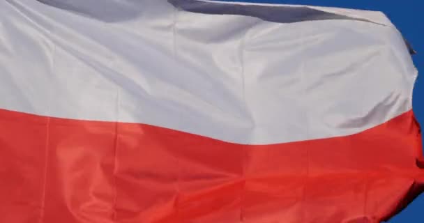 Die Polnische Nationalflagge Weht Wind — Stockvideo