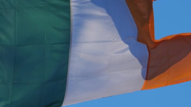 Drapeau National Irlandais Agitant Vent — Video