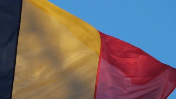 Národní Belgická Vlajka Vlnící Větru — Stock video