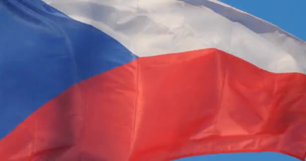 Národní Česká Republika Vlaje Větru — Stock video
