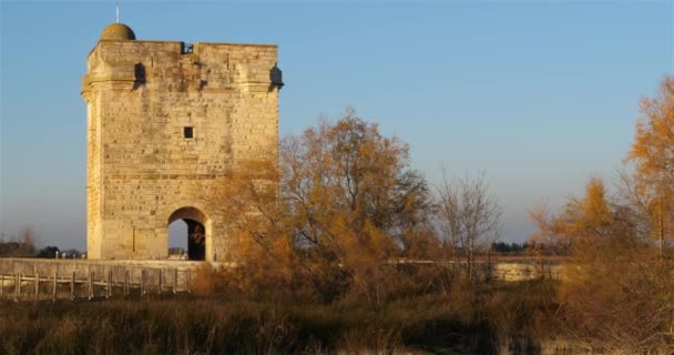 Torre Carbonniere Saint Larent Aigouze Gard Francia Torre Medieval Carbonniere — Vídeos de Stock