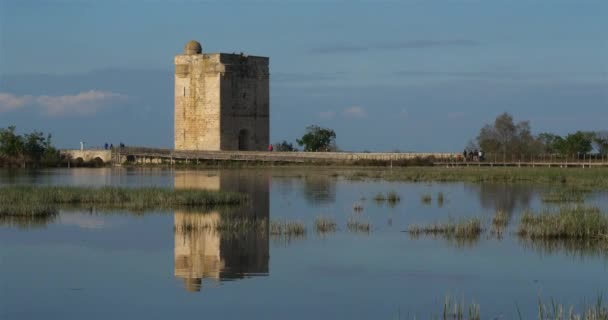 法国Gard Saint Larent Aigouze Carbonniere塔 法国Camargue沼泽地的Carbonniere中世纪塔 — 图库视频影像