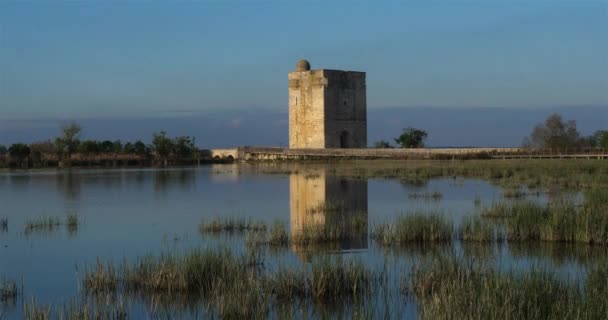 Carbonniere Torony Saint Larent Aigouze Gard Franciaország Középkori Torony Carbonniere — Stock videók