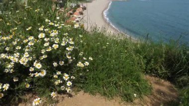 Argeles sur Mer, Plage du Racou, Pyrenees Orientales, Occitanie, Fransa