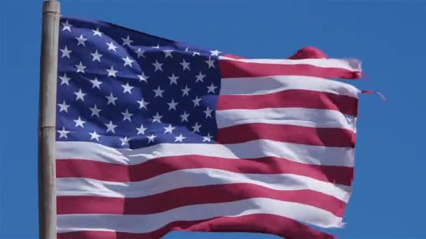 Bandera Nacional Estados Unidos Ondeando Viento — Vídeos de Stock