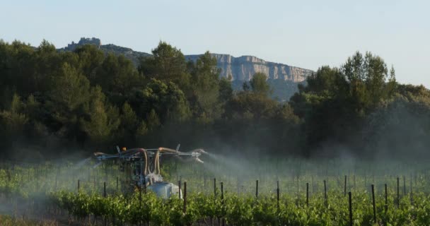 Tractor Rociando Viñedos Occitano Francia Backgroung Está Monte Hortus — Vídeo de stock