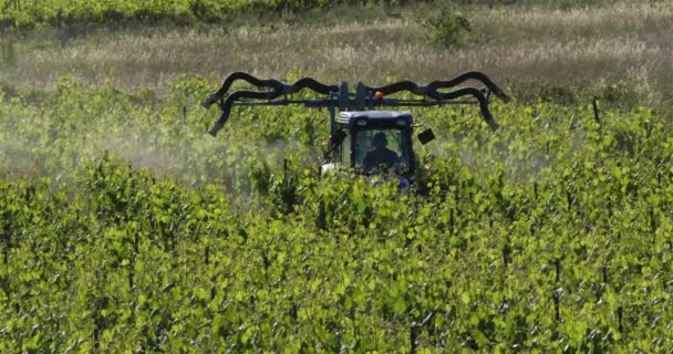 Trattore Spruzzo Vigneti Francia Vigneti Pic Saint Loup — Video Stock