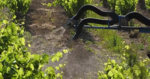 Tractor Spraying Vineyards França Vinhedos Pic Saint Loup — Vídeo de Stock