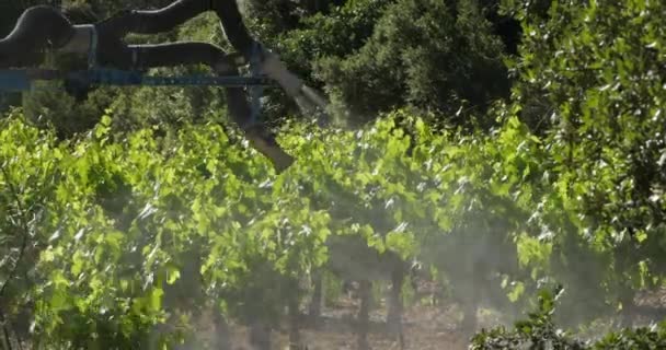 Traktor Opryskujący Winnice Francja Winnice Pic Saint Loup — Wideo stockowe