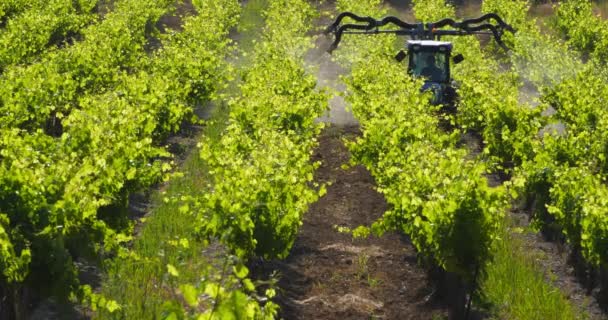 Traktor Rozstřikuje Vinice Francie Vinice Pic Saint Loup — Stock video