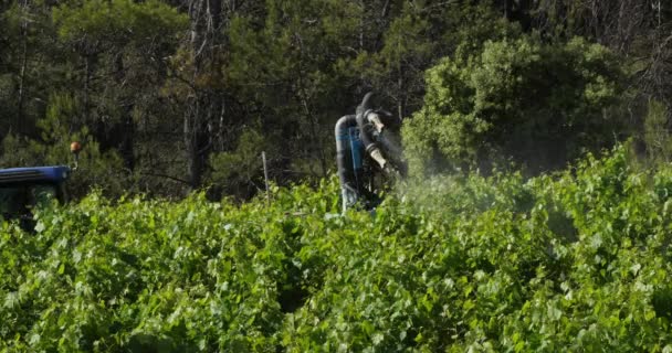 Трактор Распыления Виноградников Франция Виноградники Пик Сен — стоковое видео