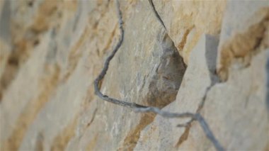 Kara kızılkuyruk - phoenicurus ochruros