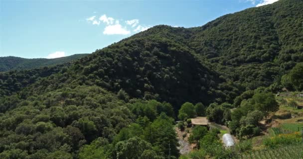 Der Nationalpark Der Cevennen Gard Frankreich Die Cevennen Nationalpark Der — Stockvideo