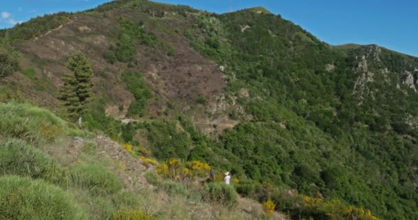 Col Lasclier Cevennes Gard France 계곡을 바라보고 예술가 베란의 양치기 — 비디오