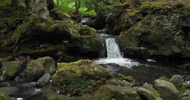 Besse Chiloza Waterfall Puy Dome Auvergne France — стокове відео