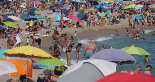 Stranden Mellan Canet Roussillon Och Saint Cyprien Pyrenéerna Orientales Occitanie — Stockvideo