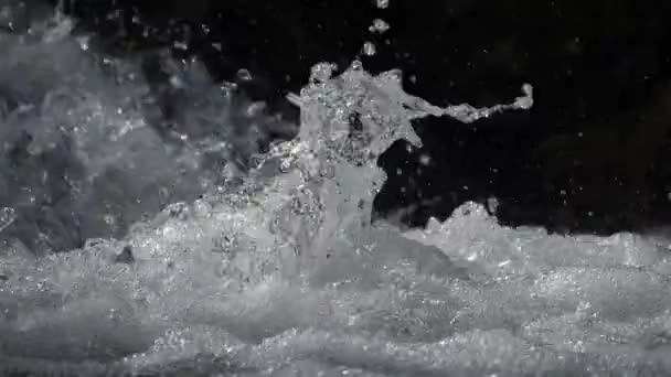 Lunaret Natuurreservaat Montpellier Departement Hrault Occitanie Frankrijk Lez — Stockvideo