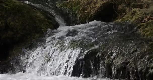 Lunaret Nature Reserve Montpellier Departement Hrault Okzitanien Frankreich Der Fluss — Stockvideo