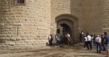 Aigues Mortes, Camargue, Occitanie, Fransa. Kamp atlarındaki gardiyanlar ya da çobanlar şehir kapısından vahşi boğaları geçirirler..