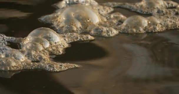 汚染水の表面 フランス — ストック動画