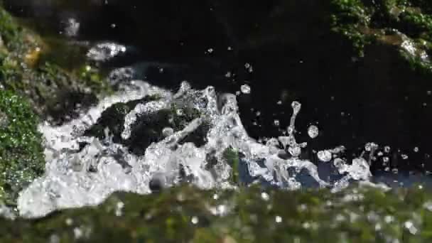 Riserva Naturale Lunaret Montpellier Dipartimento Hrault Occitanie Francia Fiume Lez — Video Stock