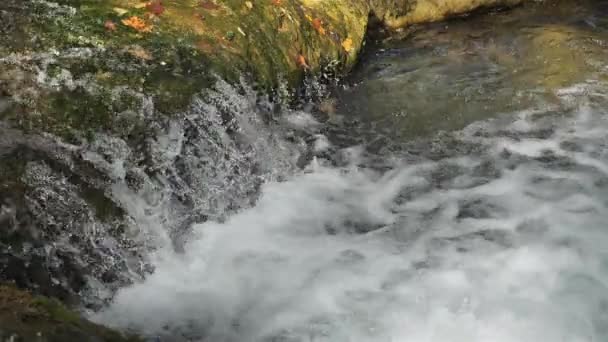 Vahşi Nehir Lez Herault Departmanı Occitanie Fransa — Stok video