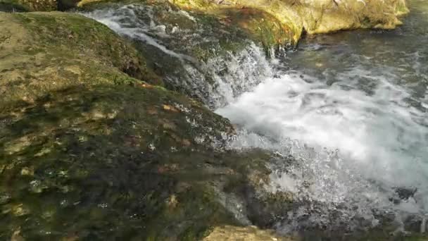 Vahşi Nehir Lez Herault Departmanı Occitanie Fransa — Stok video