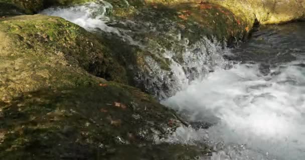 Dzika Rzeka Lez Departament Herault Occitanie Francja — Wideo stockowe