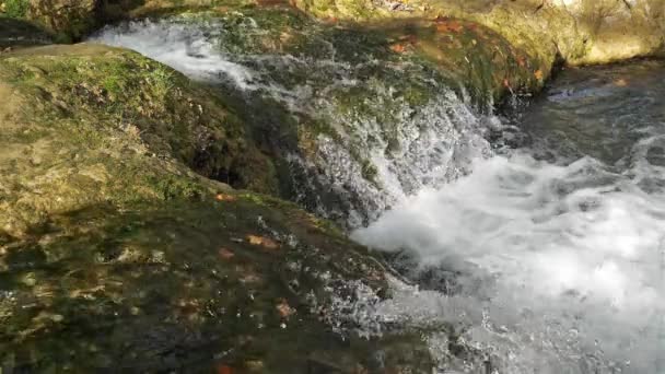 Vahşi Nehir Lez Herault Departmanı Occitanie Fransa — Stok video