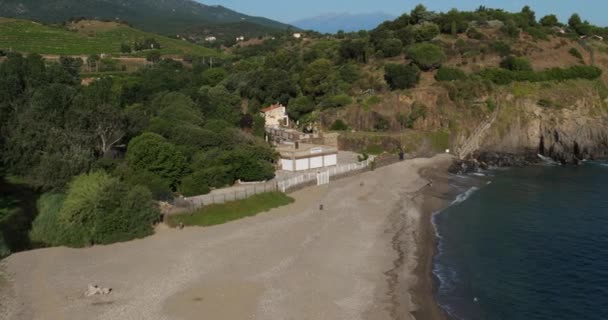 Collioure Plage Ouille Pyrenéerna Orientales Occitanie Frankrike — Stockvideo