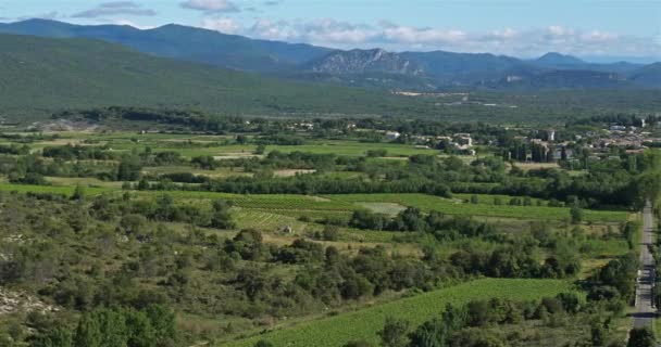 Pompignan Departement Gard Occitanie Frankrijk Wijngaard Landschap Achtergrond Zijn Cevennen — Stockvideo
